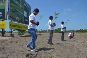 DSC 0075 - Empreendimento sustentável vai plantar mais de 10 mil mudas de espécies da Mata Atlântica